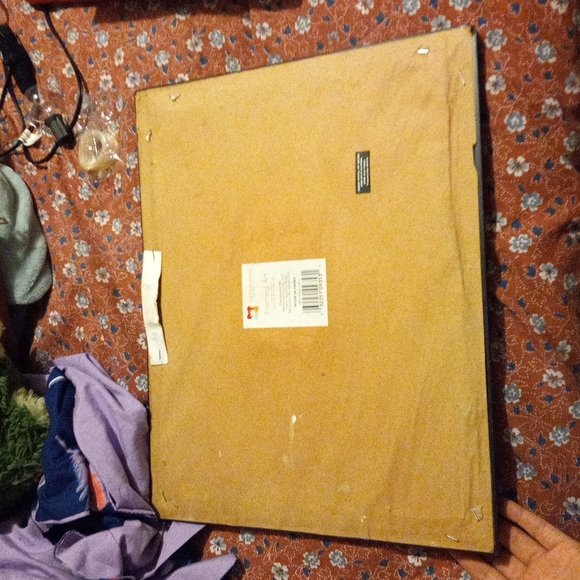 Frame - Picture 2 of 2